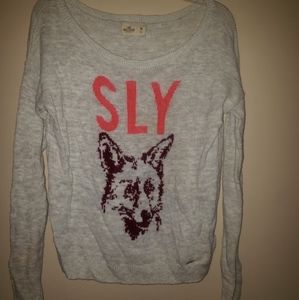 Hollister sweater